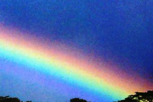 rainbowdetail.jpg (11409 bytes)