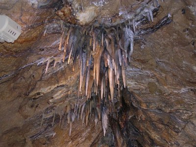 Stalactites at Cave of the Mounds, Blue Mound, Mount Horeb, Wisconsin