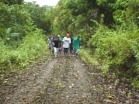 Students climbing the mountain access road