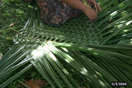 palm frond mat