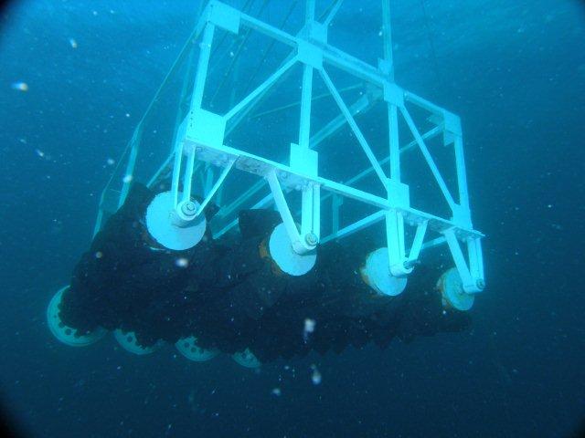Ocean Energy Kosrae WaveSurfer™ diver with equipment
